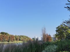 -怡海公园(桂城街道)