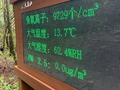 -天目山大树王景区