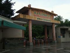 -广东茂名森林公园