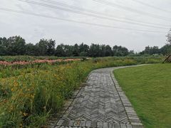 -桤木河湿地公园