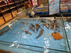 -宝燕海货工场(长江国际店)