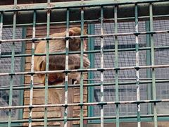 -南京金牛湖风景区