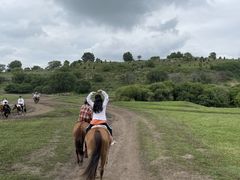 -塞罕坝国家级自然保护区