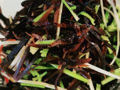 -老牌坊鲁菜名店(美莲广场店)
