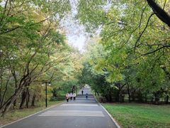 -北陵公园