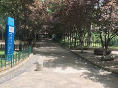 -西安市长乐公园