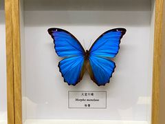 -汕头市博物馆