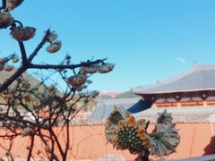 -雪峰寺