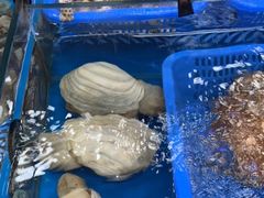-蟹老板的海鲜