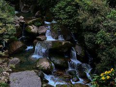 -龙窝子