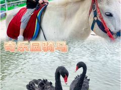 -森波拉火山温泉