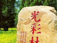 -沈阳植物园