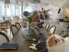 大堂-共舞时光猫咖·狗咖(新街口店)