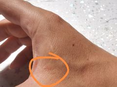 -禾源面馆(文化路四角店)