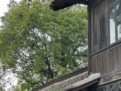 -安仁古镇