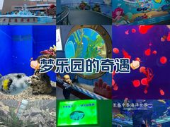 -长春中泰海洋世界