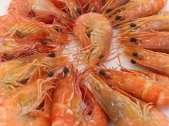 白灼明虾-潮喜竹溪荔湖酒家(荔枝湾店)