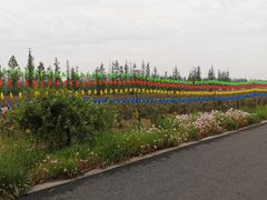 -上海长兴岛郊野公园