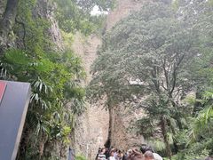 -窦圌山风景区
