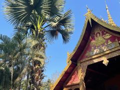 -西双版纳傣族园