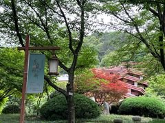 -中国茶叶博物馆(双峰馆区)