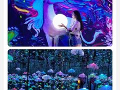 -深圳独角兽星空艺术馆