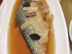 火焖鲥鱼-顺风海鲜港(金玉兰店)
