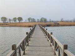 -野鸭湖国家湿地公园