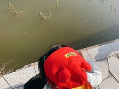 -林屋梅海青梅保护基地
