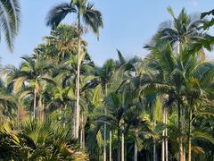 -中国科学院西双版纳热带植物园