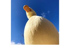 -周黑鸭(江汉路店)