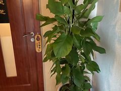 -裕和堂中医推拿艾灸(太古汇臻品店)