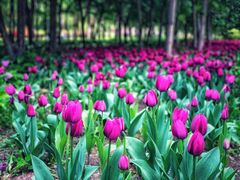 -长春公园(普阳街道)