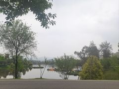 -枫香湖儿童公园