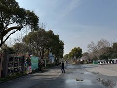 -自然谷恐龙园