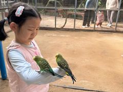 -呀路古热带植物园