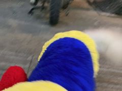 -佳雯宠物医院(金华南路分院)