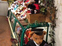 -济州岛泰迪熊博物馆