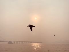 -星海广场