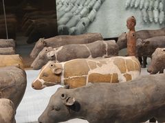 -汉景帝阳陵博物院