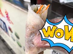 红卫春卷-文庙广场小吃一条街