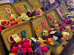 -济州岛泰迪熊博物馆