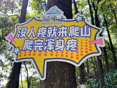 -广州市帽峰山景区