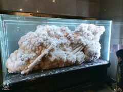 -湖南省地质博物馆