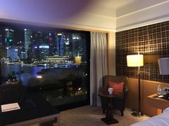 -新加坡文华东方酒店