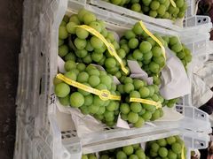 -西郊国际农产品交易中心