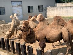 -南京金牛湖风景区