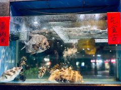 -肥仔顺德菜(龙悦居店)