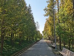 -上海长兴岛郊野公园