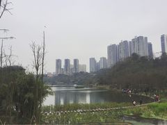 -重庆彩云湖湿地公园